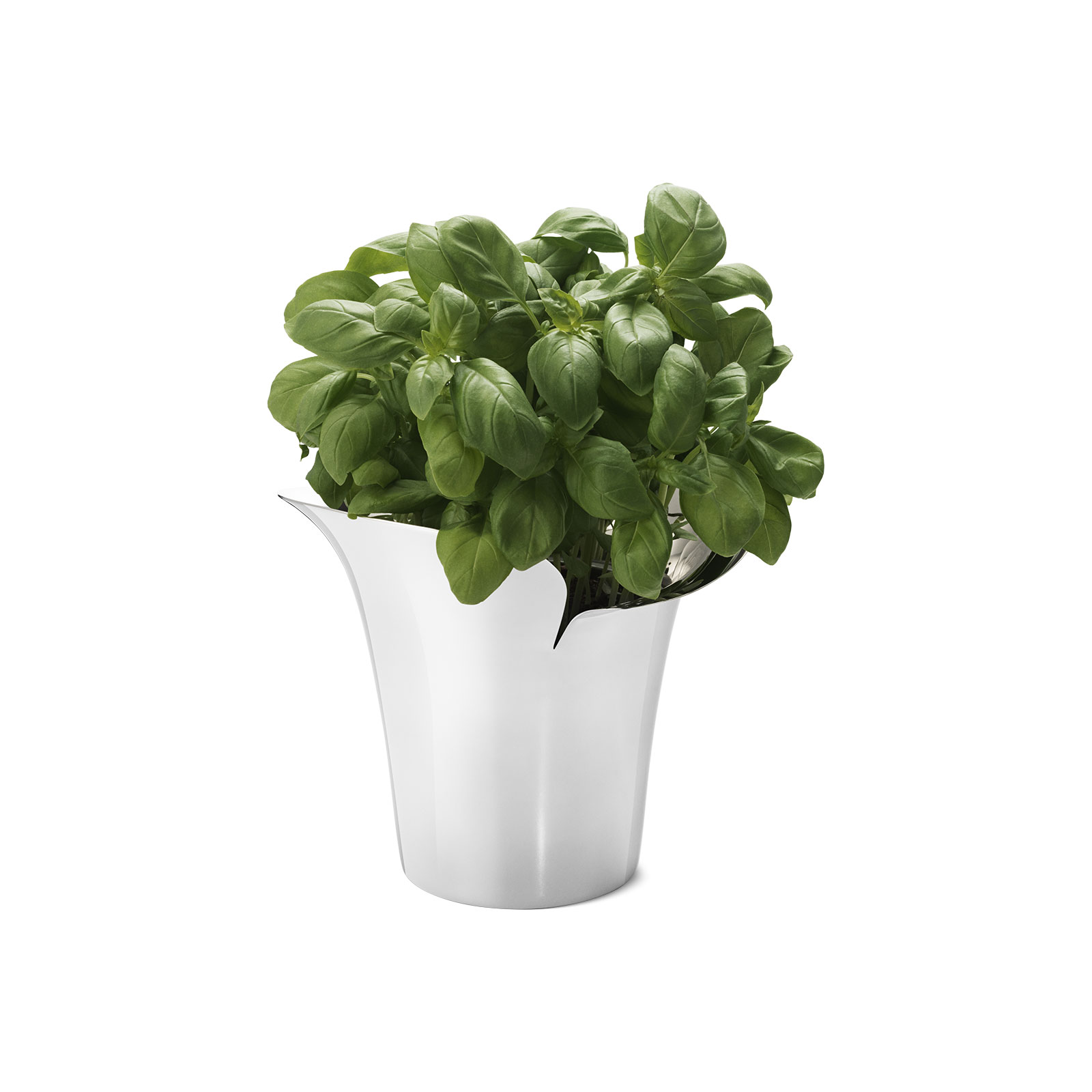 Georg Jensen Bloom Botanica Übertopf klein 14cm Edelstahl