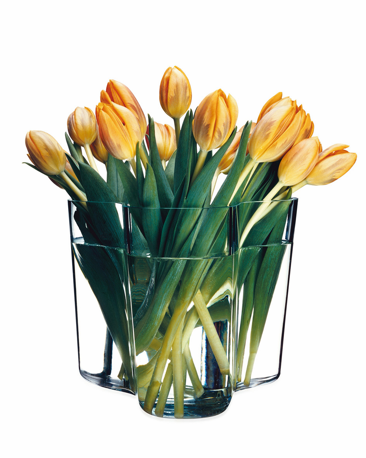 iittala Alvar Aalto Vase 16cm clear/klar