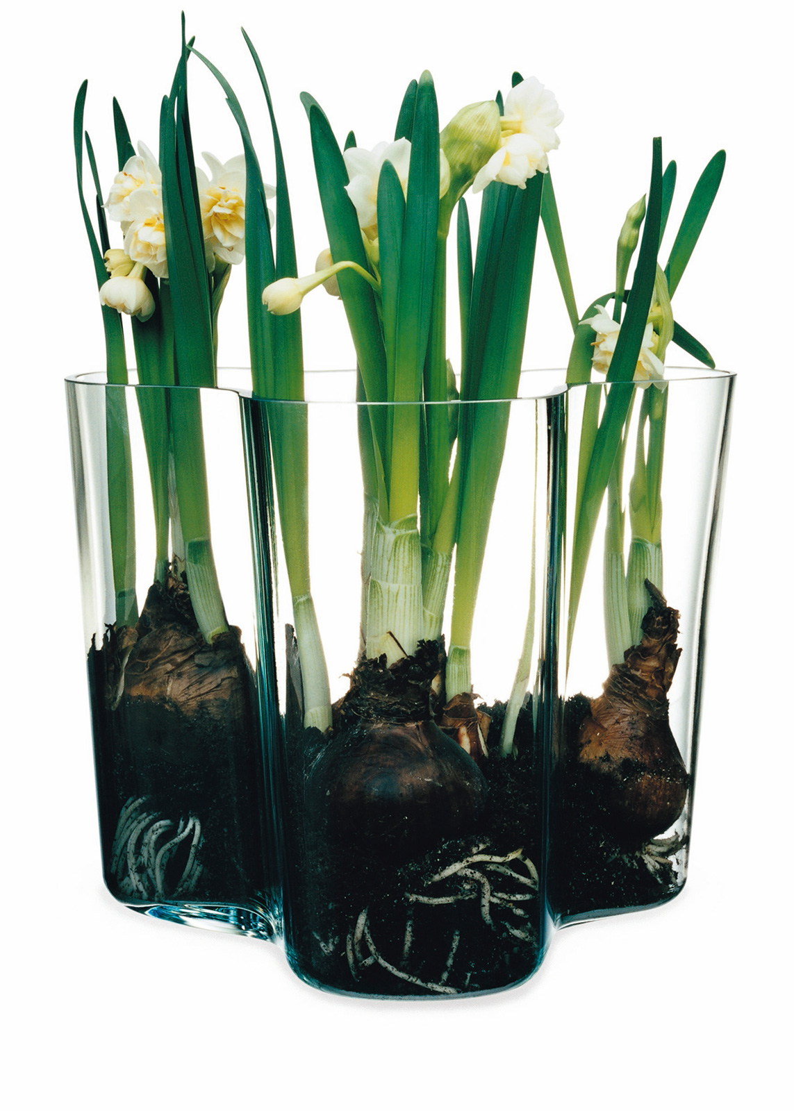 iittala Alvar Aalto Vase 16cm clear/klar