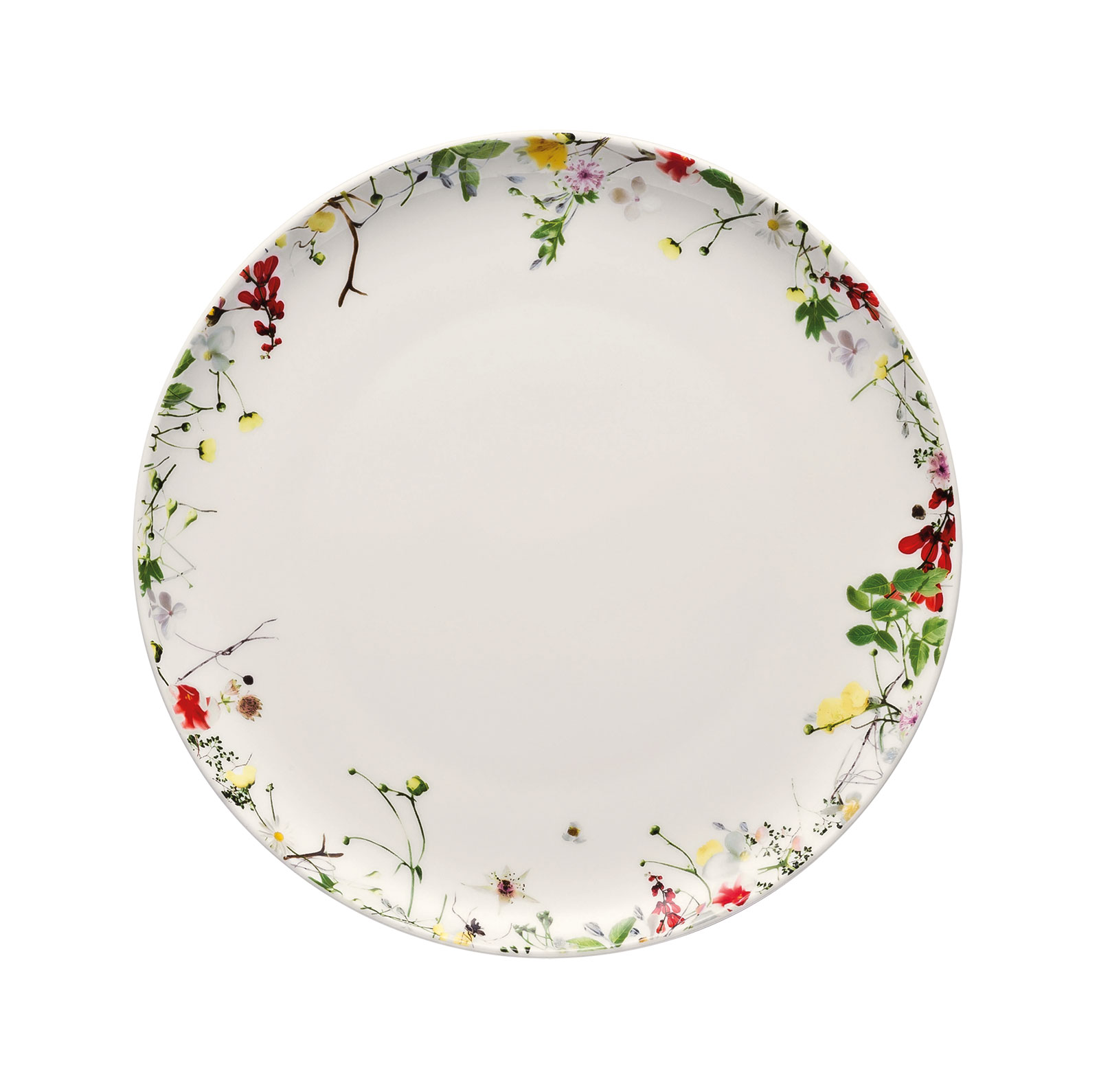 Rosenthal Brillance Fleurs Sauvages Frühstücksteller 21cm Coupe 21cm