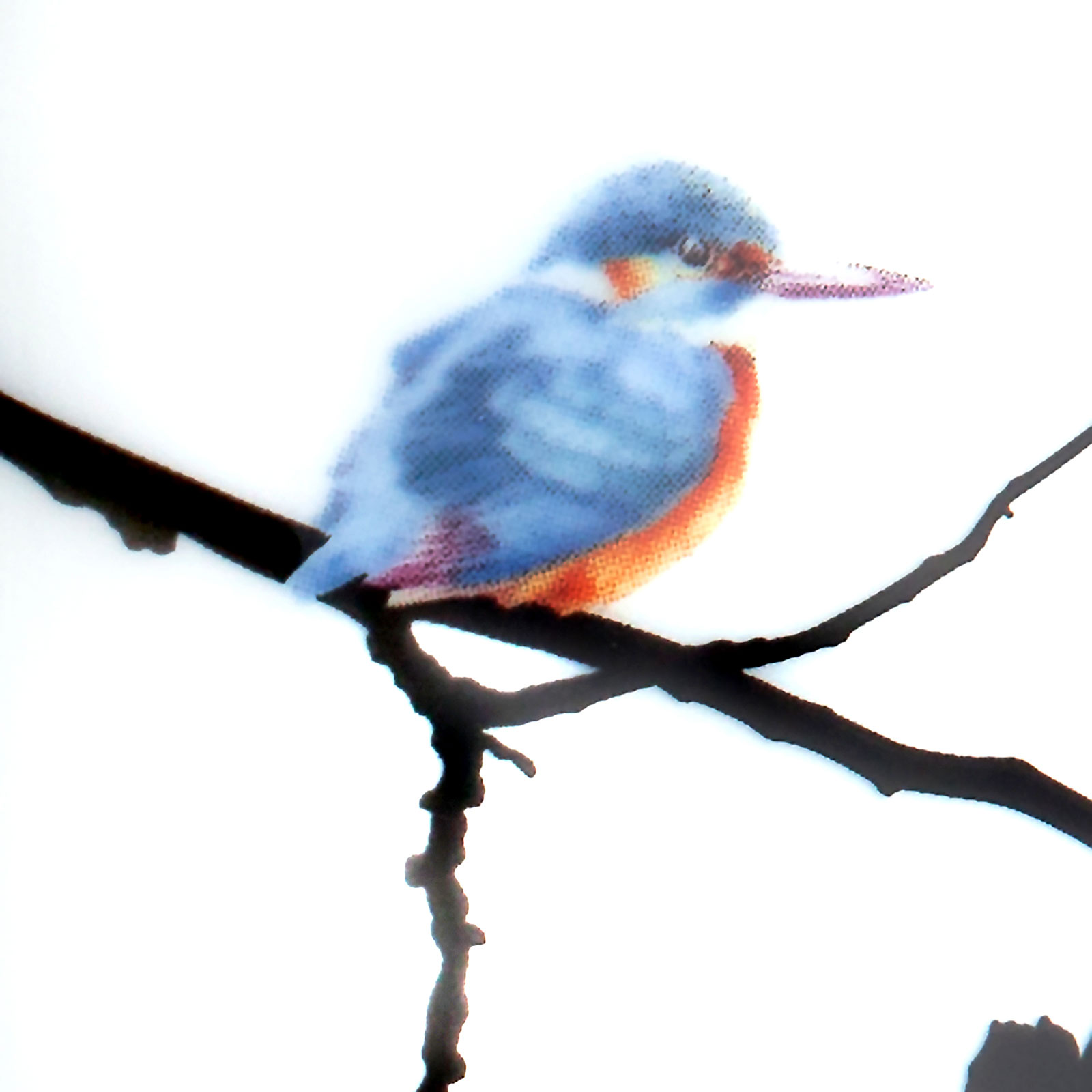 Meissen Kingfisher Henkelbecher 0,25ltr.