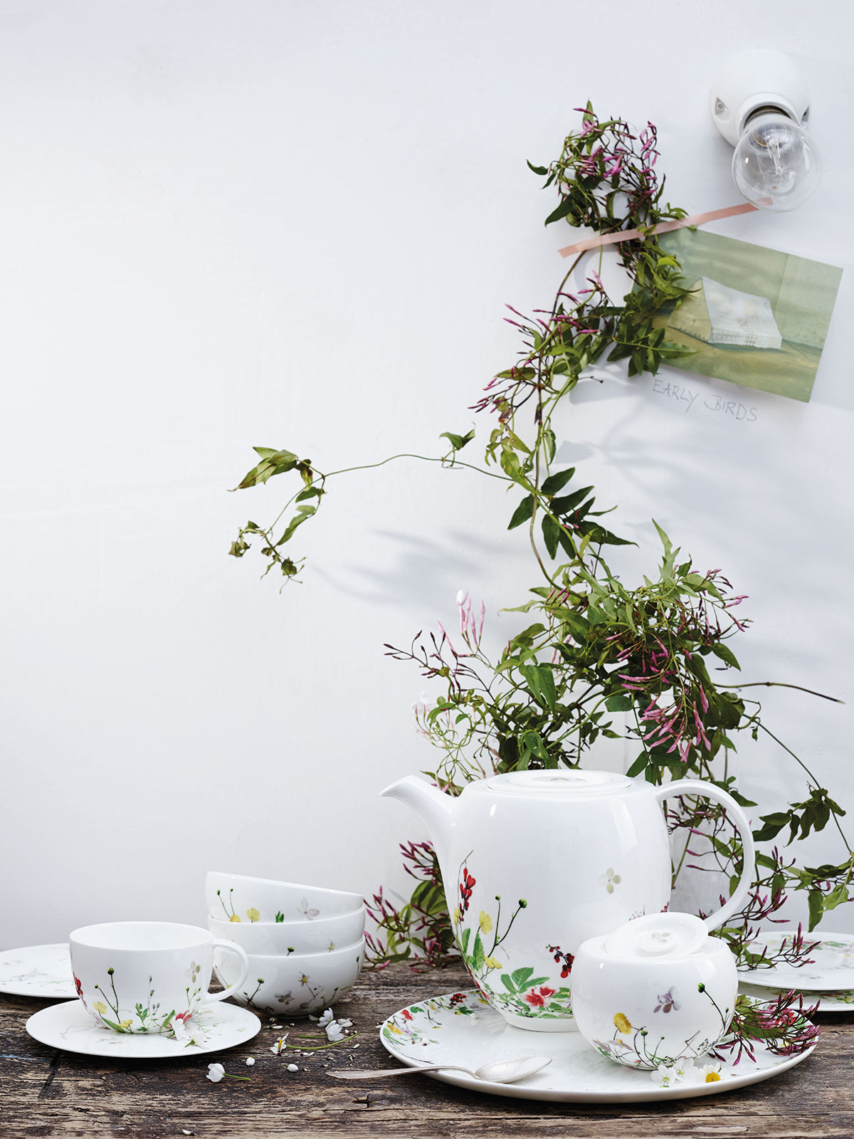 Rosenthal Brillance Fleurs Sauvages Milchkännchen 0,32ltr.